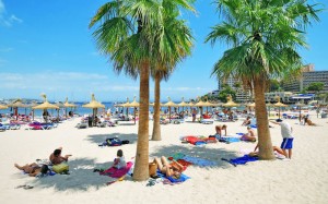 Strand och palmer i Spanien